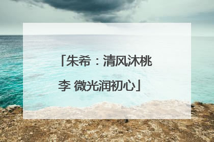 朱希：清风沐桃李 微光润初心