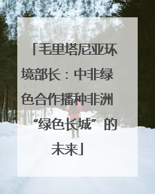 毛里塔尼亚环境部长：中非绿色合作播种非洲“绿色长城”的未来
