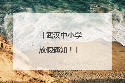 武汉中小学放假通知！