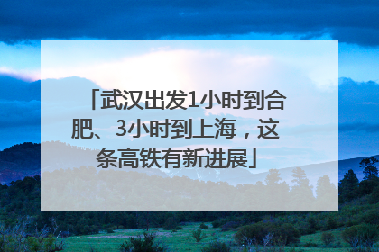 武汉出发1小时到合肥、3小时到上海，这条高铁有新进展
