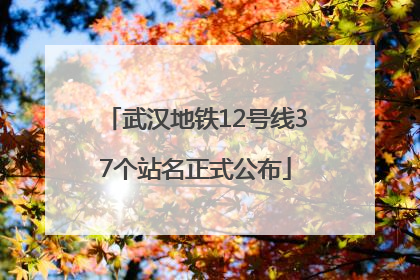 武汉地铁12号线37个站名正式公布