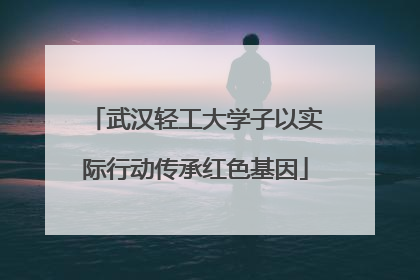 武汉轻工大学子以实际行动传承红色基因