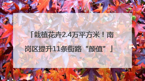 栽植花卉2.4万平方米！南岗区提升11条街路“颜值”