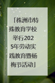 株洲市特殊教育学校举行2025年劳动实践教育暨杨梅节活动