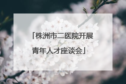 株洲市二医院开展青年人才座谈会