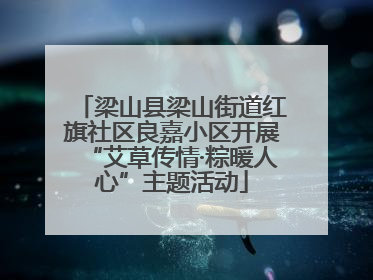 梁山县梁山街道红旗社区良嘉小区开展“艾草传情·粽暖人心”主题活动