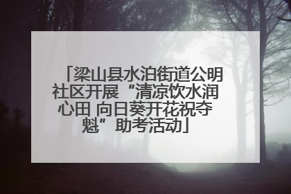 梁山县水泊街道公明社区开展“清凉饮水润心田 向日葵开花祝夺魁”助考活动