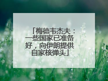 梅德韦杰夫：一些国家已准备好，向伊朗提供自家核弹头