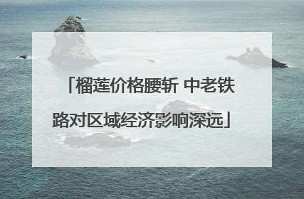 榴莲价格腰斩 中老铁路对区域经济影响深远