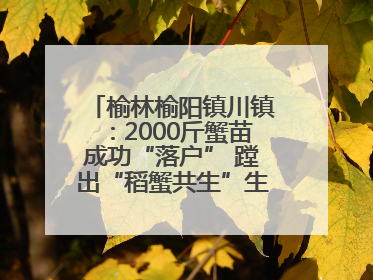 榆林榆阳镇川镇：2000斤蟹苗成功“落户” 蹚出“稻蟹共生”生态种养新路径