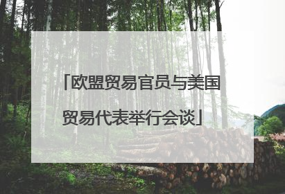 欧盟贸易官员与美国贸易代表举行会谈