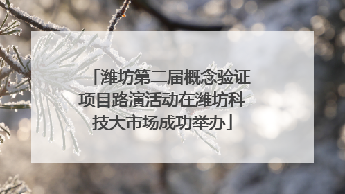 潍坊第二届概念验证项目路演活动在潍坊科技大市场成功举办
