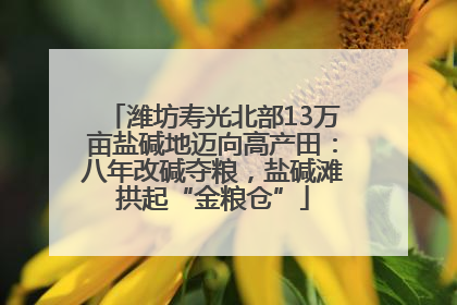潍坊寿光北部13万亩盐碱地迈向高产田：八年改碱夺粮，盐碱滩拱起“金粮仓”