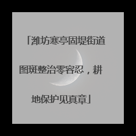 潍坊寒亭固堤街道图斑整治零容忍，耕地保护见真章