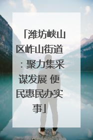 潍坊峡山区岞山街道：聚力集采谋发展 便民惠民办实事