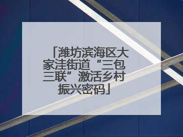 潍坊滨海区大家洼街道“三包三联”激活乡村振兴密码