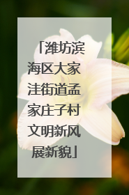 潍坊滨海区大家洼街道孟家庄子村文明新风展新貌