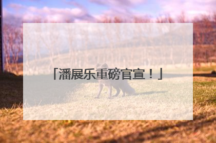 潘展乐重磅官宣！