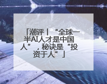 潮评丨“全球一半AI人才是中国人”，秘诀是“投资于人”
