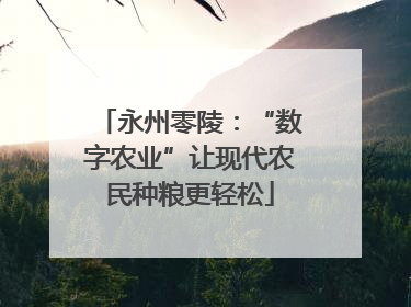 永州零陵：“数字农业”让现代农民种粮更轻松