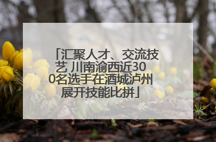 汇聚人才、交流技艺 川南渝西近300名选手在酒城泸州展开技能比拼