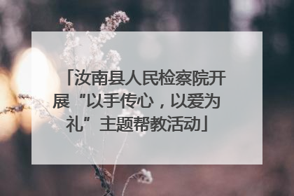 汝南县人民检察院开展“以手传心，以爱为礼”主题帮教活动