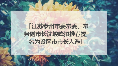 江苏泰州市委常委、常务副市长沈峻峰拟推荐提名为设区市市长人选