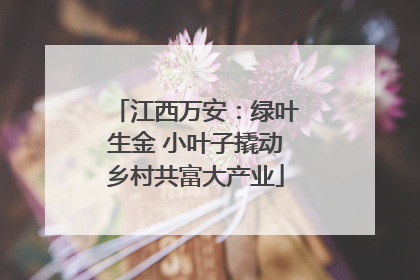 江西万安：绿叶生金 小叶子撬动乡村共富大产业