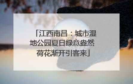 江西南昌：城市湿地公园夏日绿意盎然 荷花渐开引客来