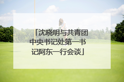沈晓明与共青团中央书记处第一书记阿东一行会谈