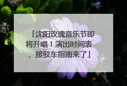 沈阳玫瑰音乐节即将开唱！演出时间表、接驳车指南来了