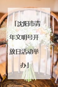 沈阳市青年文明号开放日活动举办