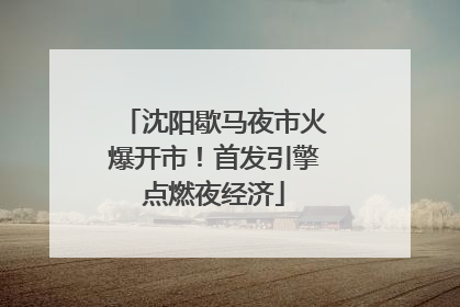 沈阳歇马夜市火爆开市！首发引擎点燃夜经济