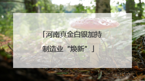 河南真金白银加持制造业“焕新”