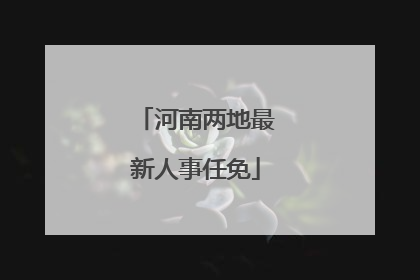 河南两地最新人事任免