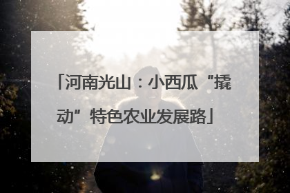 河南光山：小西瓜“撬动”特色农业发展路