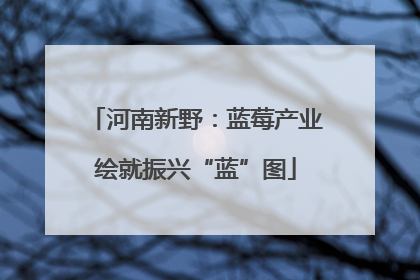 河南新野：蓝莓产业绘就振兴“蓝”图