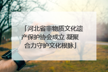 河北省非物质文化遗产保护协会成立 凝聚合力守护文化根脉