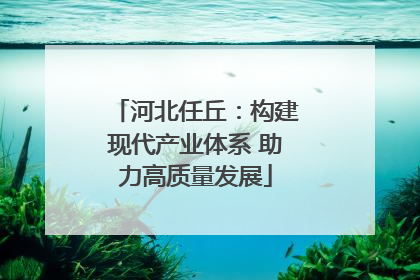 河北任丘：构建现代产业体系 助力高质量发展