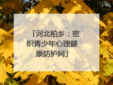 河北柏乡：密织青少年心理健康防护网