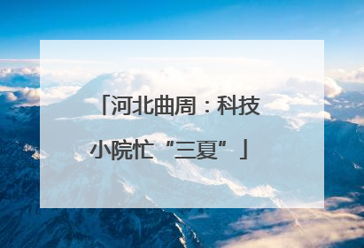河北曲周：科技小院忙“三夏”