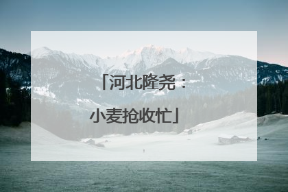 河北隆尧：小麦抢收忙