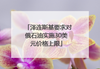 泽连斯基要求对俄石油实施30美元价格上限
