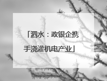 泗水：政银企携手浇灌机电产业