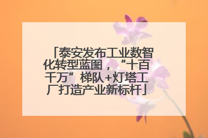 泰安发布工业数智化转型蓝图，“十百千万”梯队+灯塔工厂打造产业新标杆