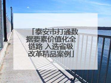 泰安市打通数据要素价值化全链路 入选省级改革精品案例