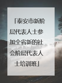 泰安市新阶层代表人士参加全省新的社会阶层代表人士培训班