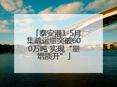 泰安港1-5月集疏运量突破600万吨 实现“量增质升”