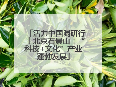 活力中国调研行丨北京石景山：“科技+文化”产业蓬勃发展