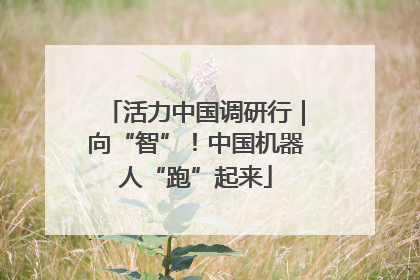 活力中国调研行｜向“智”！中国机器人“跑”起来